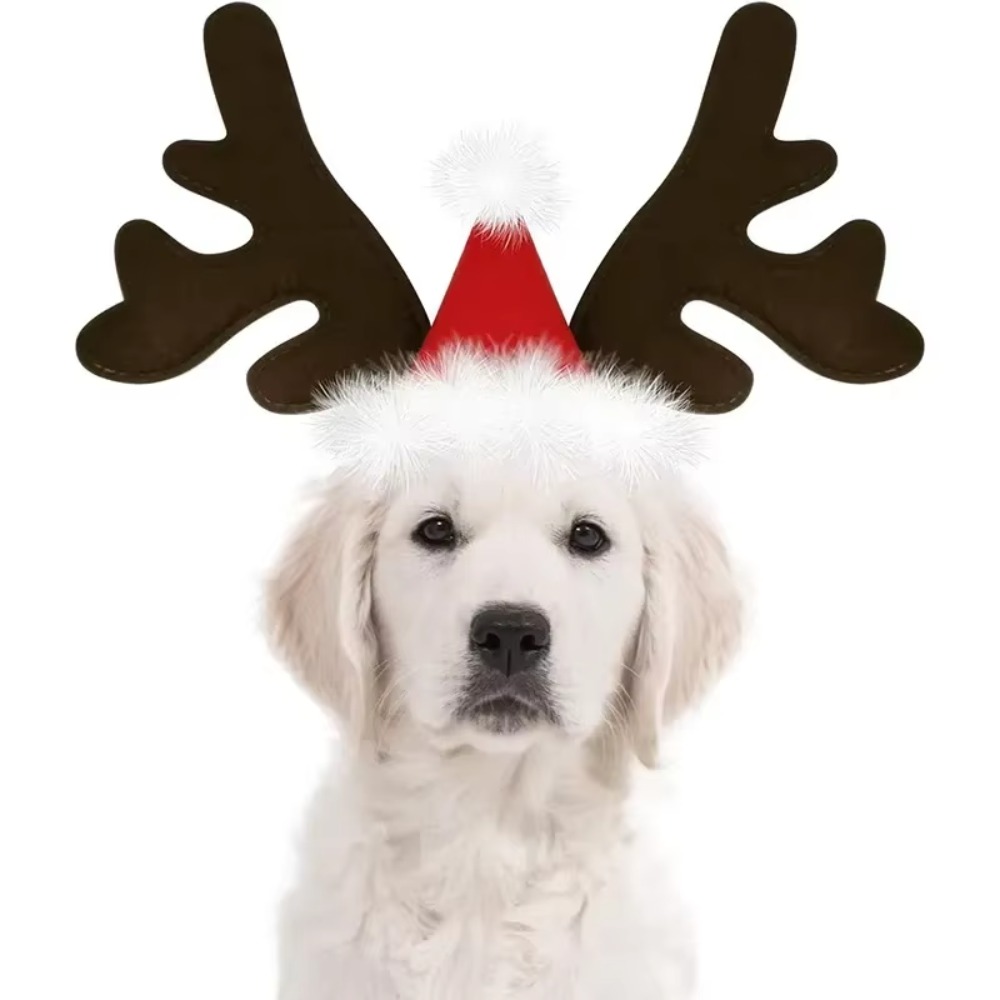 ที่คาดผมเขากวางเรนเดียร์คริสต์ - Reindeer Antlers Headband บทวิจารณ์และราคา